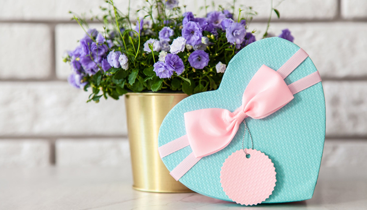 % مجله وودمارت